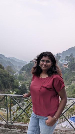 Damini sundar