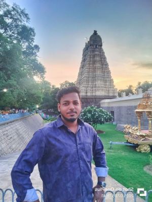 Vigneshwaran D 